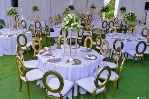Vip Plan O Back Event Chairs