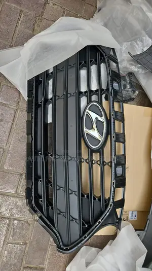 Radiator Grill Veloster 2021