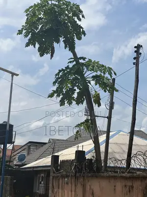 Land Property