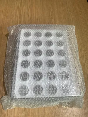 24-Egg Storage Container