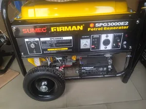 Firman Spg3000e2