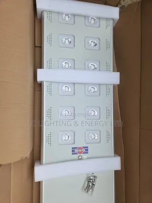 Original Benita Solar Street Light 100w