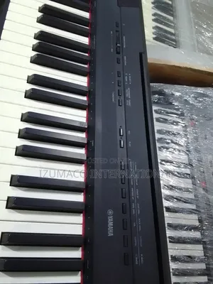 Durable Portable Digital Piano Yamaha P-115( Used, Black)