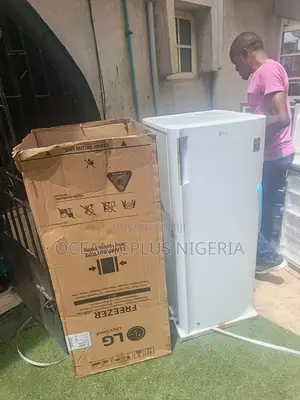 Lg Standing Freezer 168l Gn-304sqbr Storage