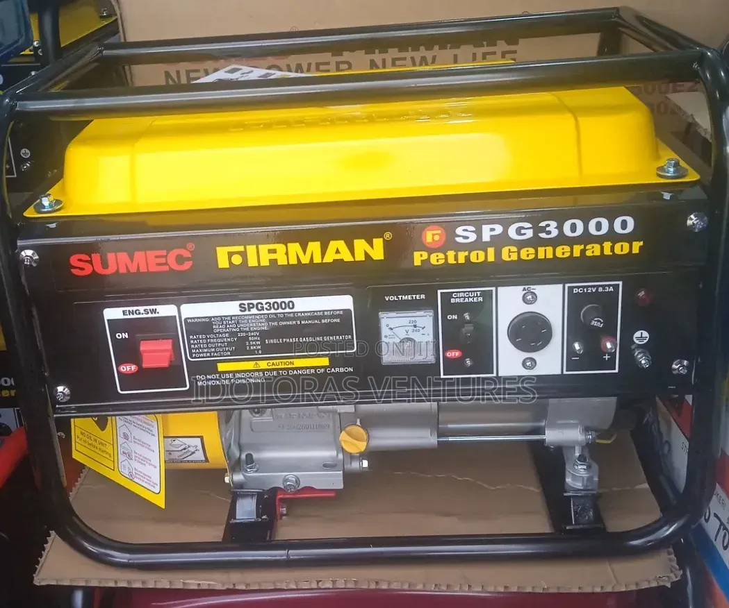 Firman Spg3000