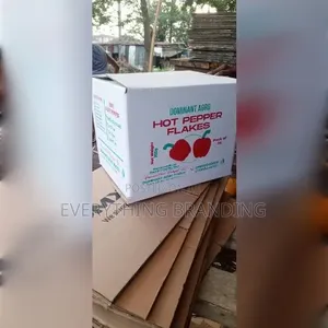 5ply White Printed Carton Box 20×9×18in Heavy Duty