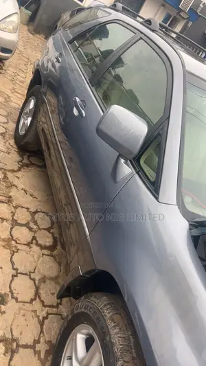 Lexus RX 2002 Gray