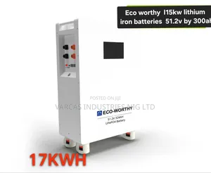 15kw Eco Worthy Lithium Iron Battery