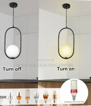 Fancy Bulb Drop Light