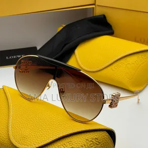 Loewe Luxury Stainless Steel Designer Sunglasses