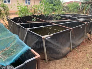 10 X 10 5 X 10 Tarpaulin for Fish Farm