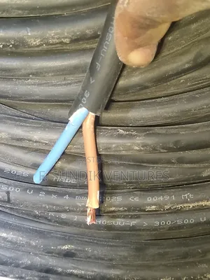 4mm 2core Full Guage Flexible Cable
