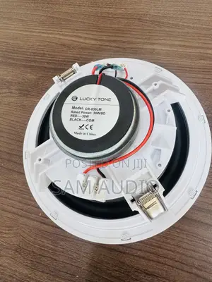 Lucky Tone 30watts Frameless Ceiling Speaker