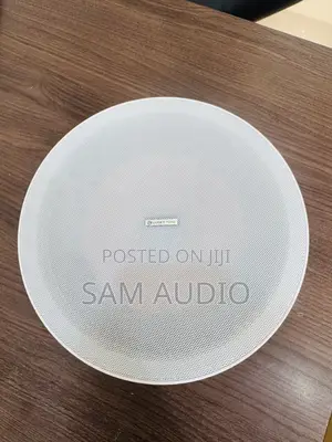 Lucky Tone 30watts Frameless Ceiling Speaker