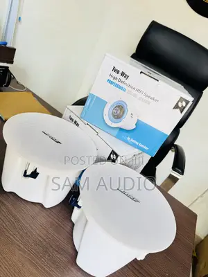 Bose Ceiling Speaker