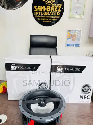 TDG Audio Ceiling Speaker