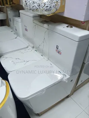Best England Big Wc With the Wash Hand Basin