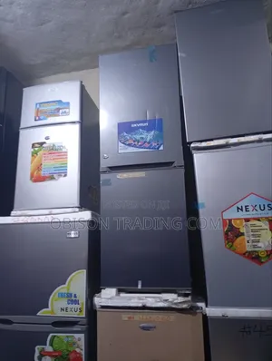 Skyrun Refrigerator Double Door Bottom Freezer