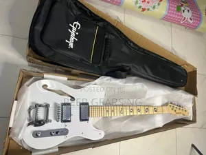 Adorable Epiphone Telecaster Electric Guitar