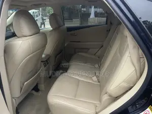 Lexus RX 2010 Gray