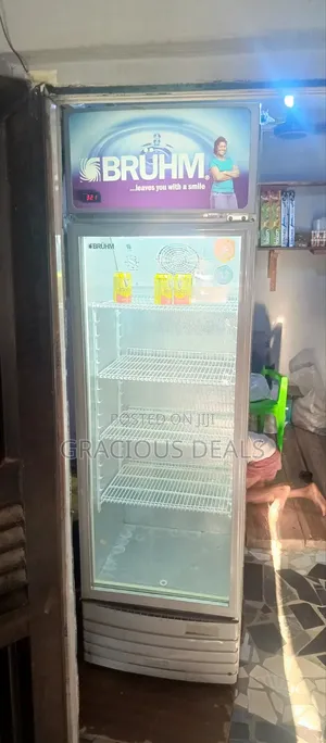 329 L Bruhm Standing Fridge