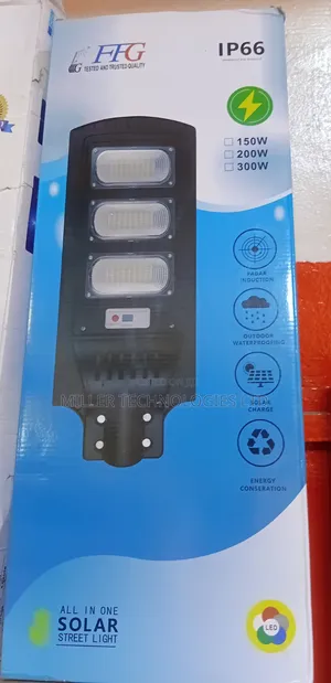 FFG Solar Light 300w Ip66