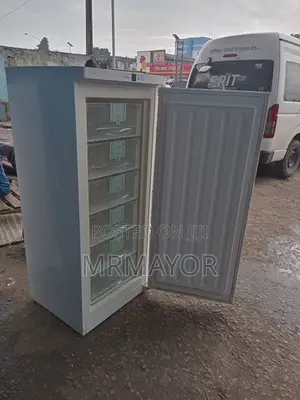 Liebherr Standing Freezer