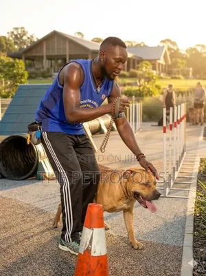 Professional Dog Trainer Home Service Dog Training
