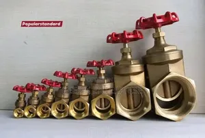 2" Brass Gate Valve