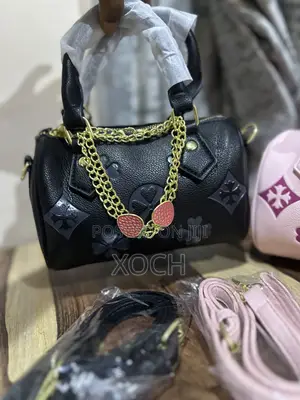 Luxury Coach Bag