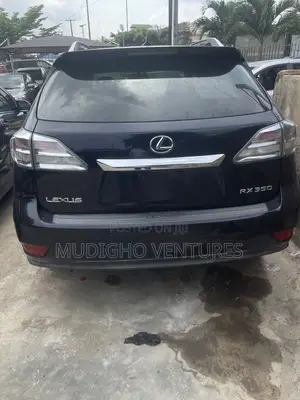 Lexus RX 2010 Gray
