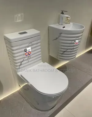 Modern Marble Design Toilet Sink Combo – Eagles Standard England