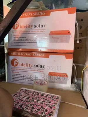 175ams 12v Dry Cell Felicity Battery