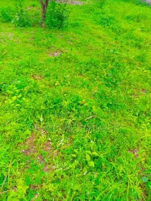 2,400sqm Commercial Land at Asokoro