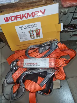 Full Body Harness Double Hook Workman