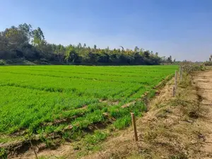 1.5hectares Dobi Farmland