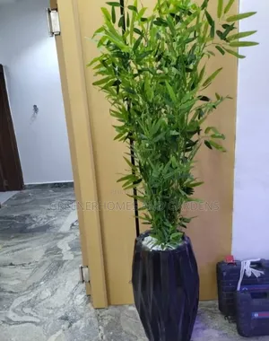 Potted Artificial Plants