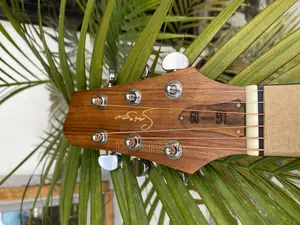 Semi Acoustic Guitar