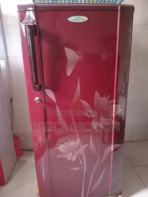 Haier Thermocool Fridge