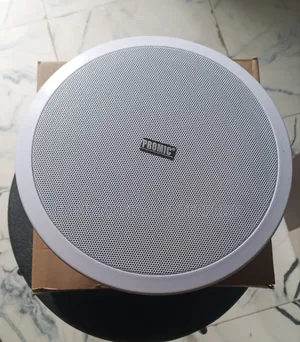 Passive Frame Ceiling Speaker