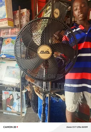 Standing Fan
