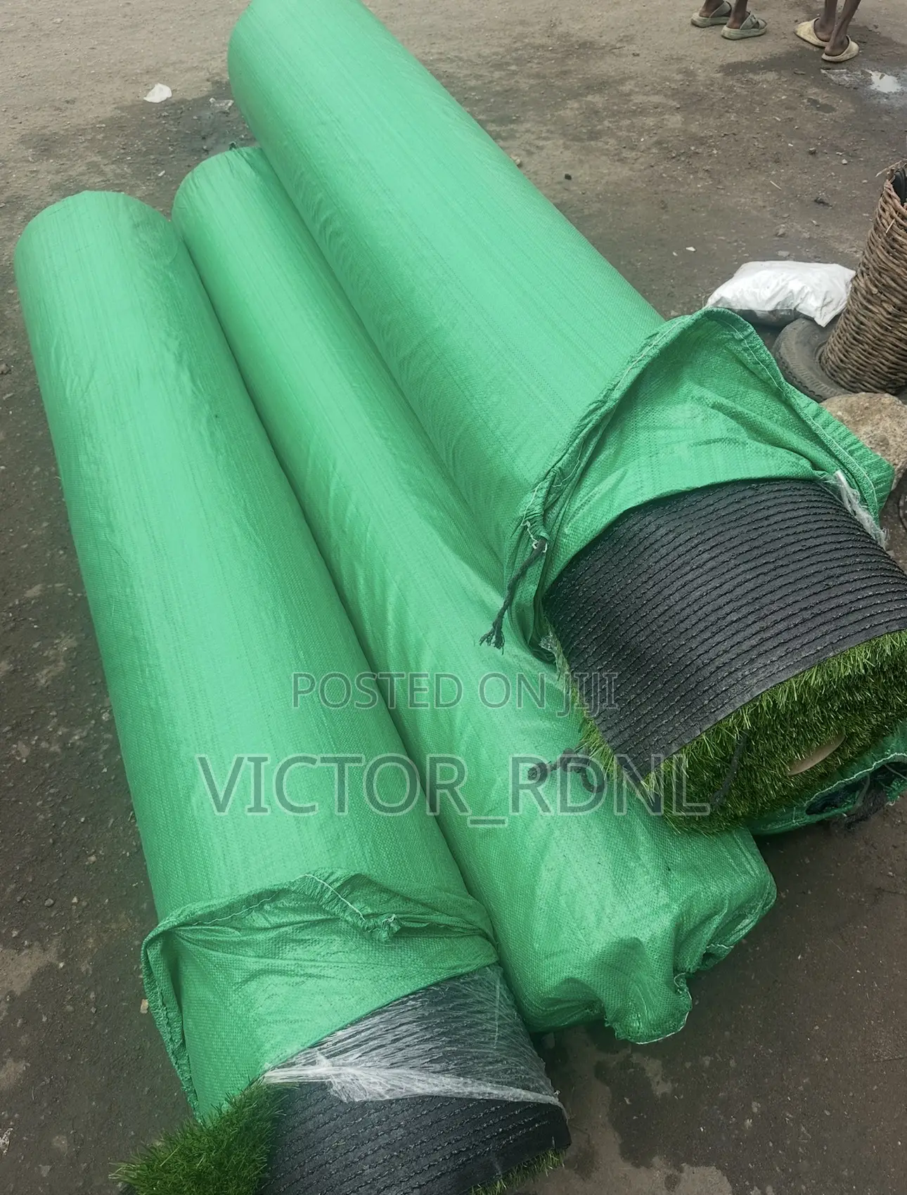 Full Carpet Grass