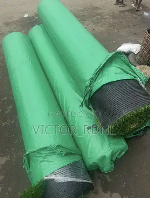 Full Carpet Grass