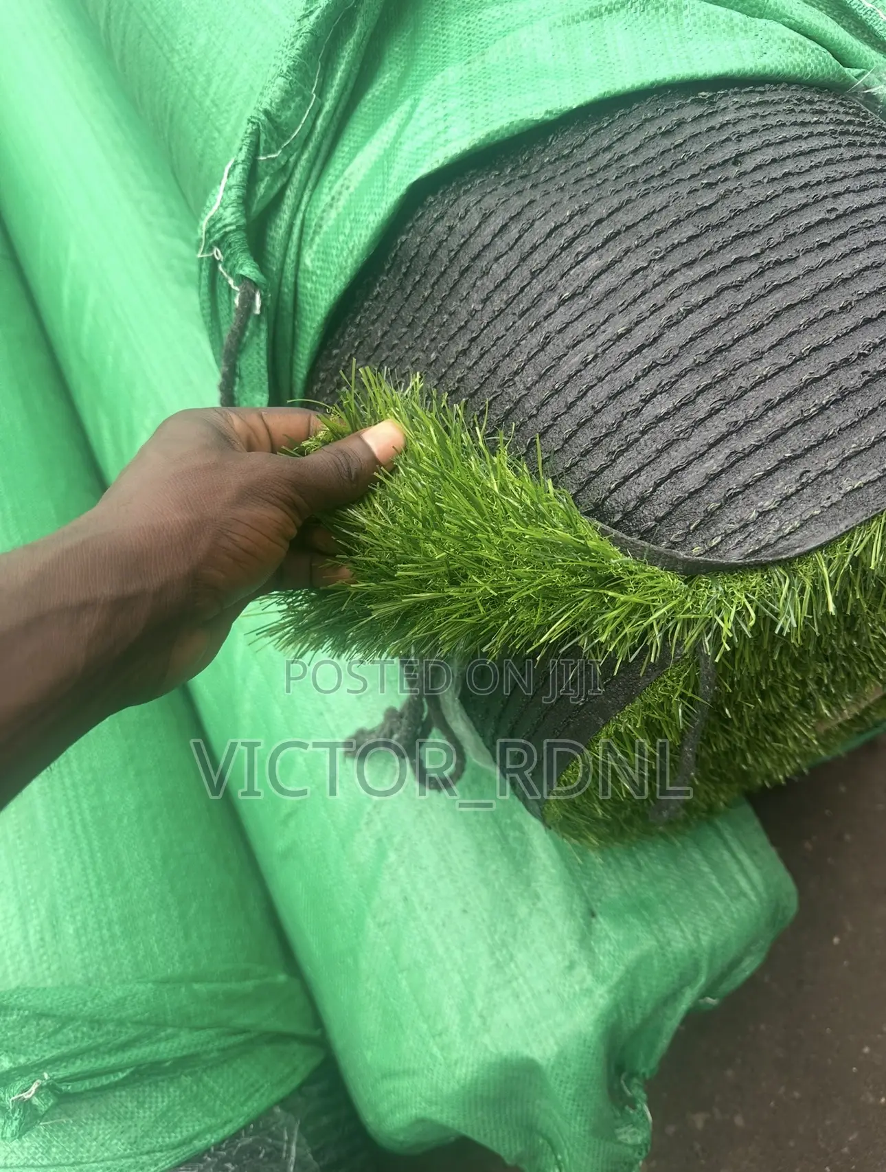 Full Carpet Grass