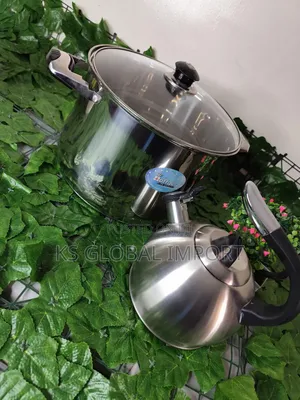 Stainless Steel Pots and Kettle
