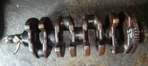 Hyundai Tucson, Santa Fe, Sportage and Crankshaft 2006-2010.