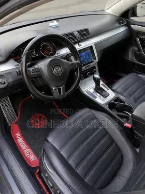 Volkswagen Passat 2010 Brown