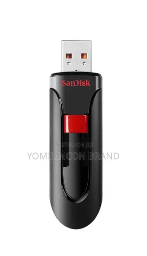Sandisk Cruzer Blade 256gb