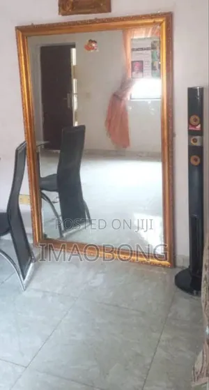 Mirror Only Without Frame