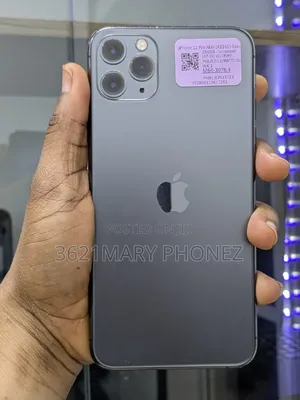 Apple iPhone 11 Pro Max 256 GB Gray
